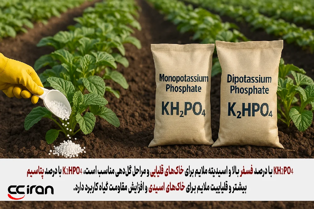 تفاوت کاربرد مونوپتاسیم فسفات و دی پتاسیم فسفات در کشاورزی